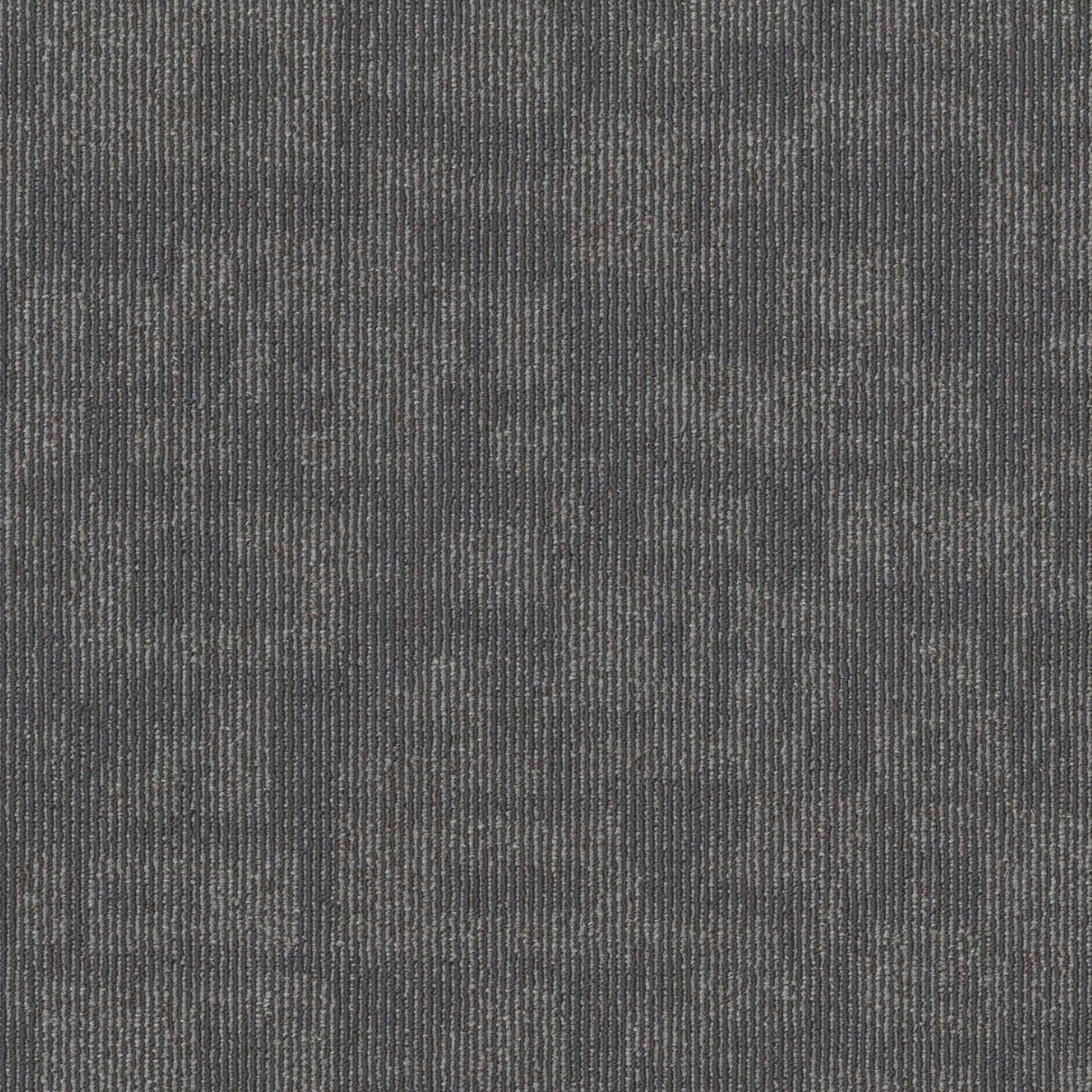 Shaw Sway 24-in x 24-in Washed Gray Commercial Adhesive Indoor Carpet Tile (80-sq ft)