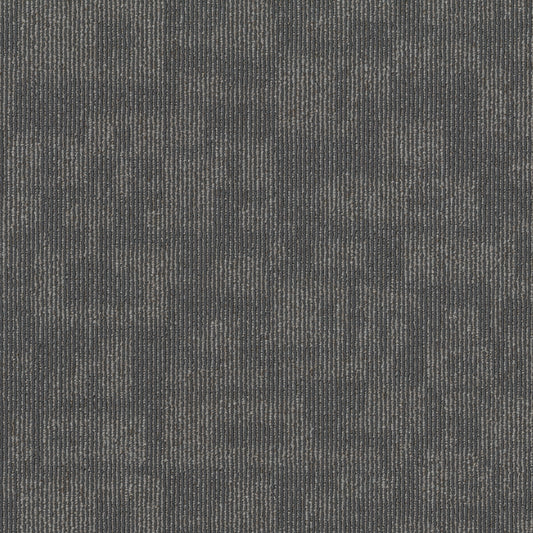 Shaw Sway 24-in x 24-in Washed Gray Commercial Adhesive Indoor Carpet Tile (80-sq ft)