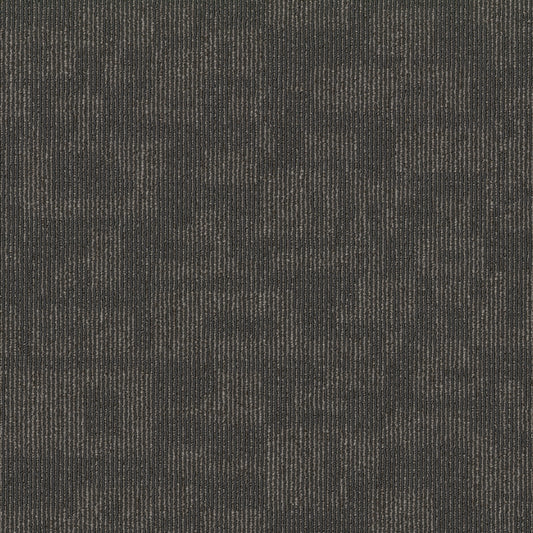 Shaw Sway 24-in x 24-in Modeled Gray Commercial Adhesive Indoor Carpet Tile (80-sq ft)