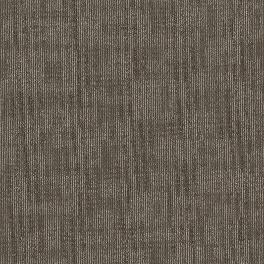 Shaw Sway 24-in x 24-in Tattered Brown Commercial Adhesive Indoor Carpet Tile (80-sq ft)